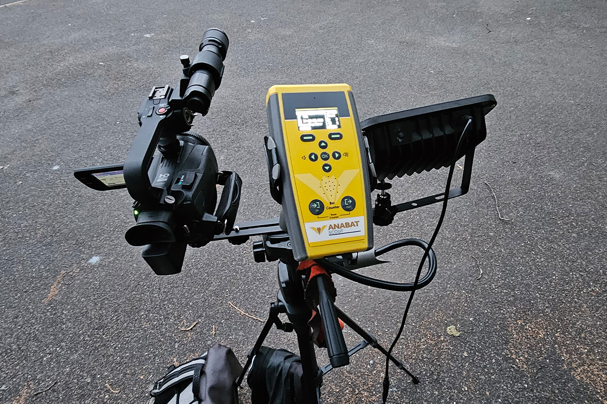 Full Spectrum Detectors